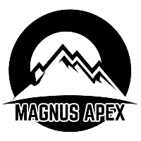Sales and Marketing Internship by Magnusapex Experiences