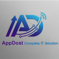 Full Stack Developer Internship by AppDost Complete IT Solution