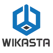 Python Developer Internship by Wikasta Business and Technical Solutions Pvt. Ltd.