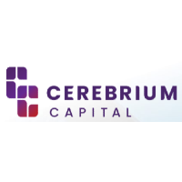 AI Engineer Internship by Cerebrium Capital
