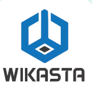 Python Development Internship by Wikasta Business and Technical Solutions Pvt. Ltd.