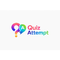 Software Engineer Internship by QuizAttempt