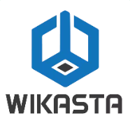 Data Analyst Internship by Wikasta Business and Technical Solutions Pvt. Ltd.