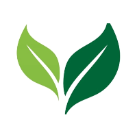 E-commerce Specialist Internship by Ambience Monitoring India