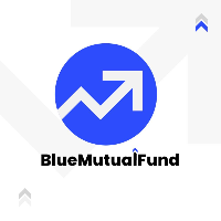 Data Engineer Internship by Bluemutulfund