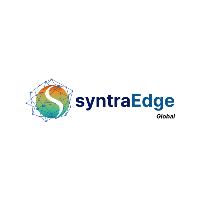 Digital Marketing Internship by SyntraEdge Global