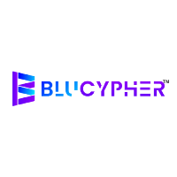 Software Development Internship by Blucypher