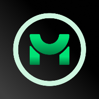 Digital Marketing Internship by Metafit