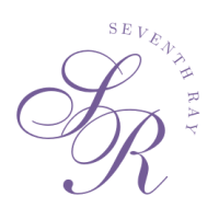 Full Stack Developer Internship by Seventh Ray Consulting and Technology Private Limited