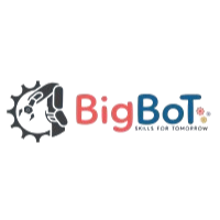 STEM Educator Internship by BigBoT