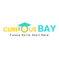 AI/ML and Web Development Internship by Curious Bay