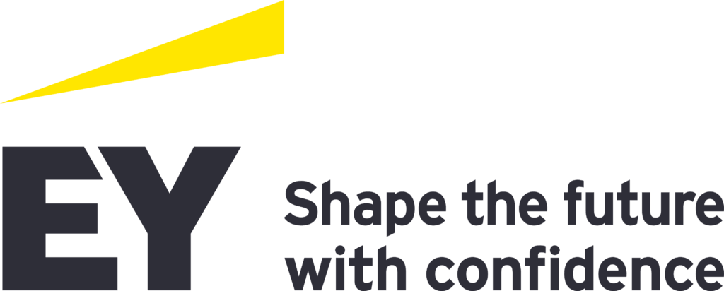 Analyst - Government and Public Sector Consulting by EY