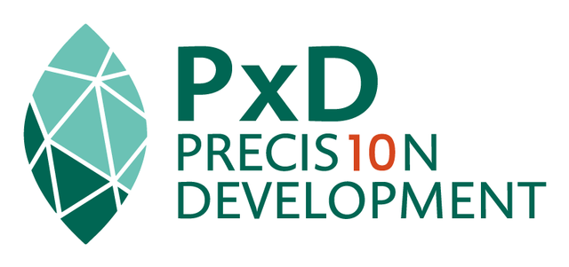 PxD Program Associate / Senior Program Associate: Mumbai Hybrid by Precision Development