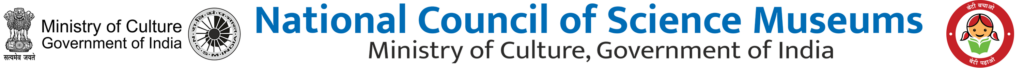 Consultant (Hindi) by National Council of Science Museums